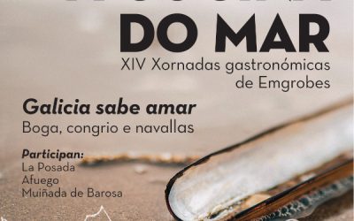 Festa do Marisco e Cociña do Mar 2022